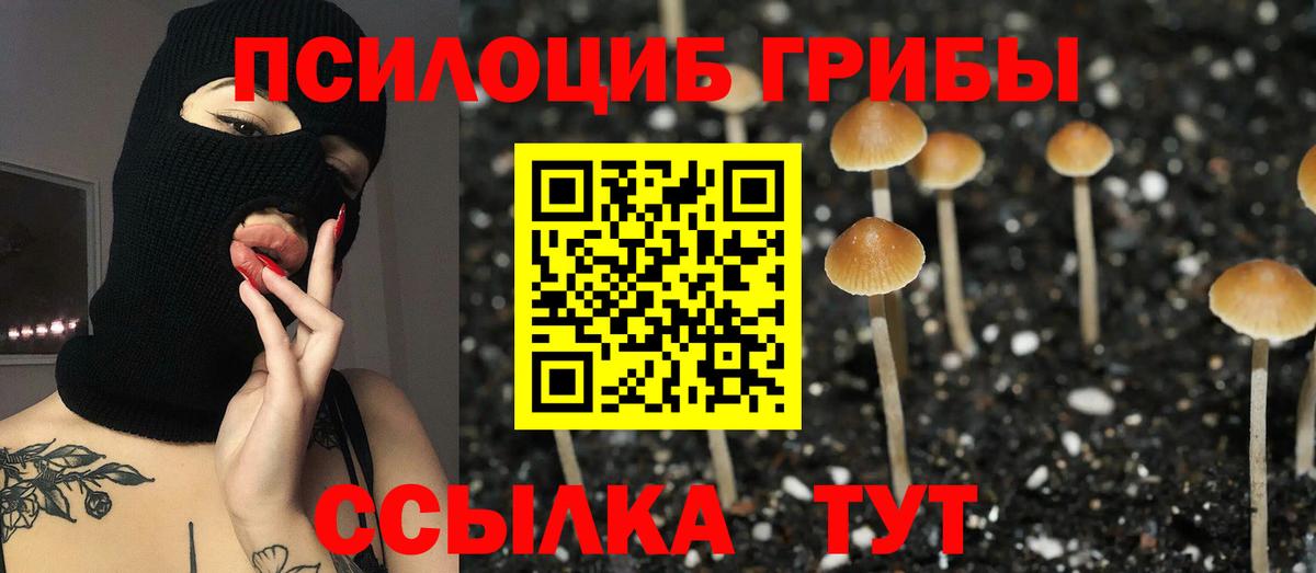 Кунгур  Галлюциногенные грибы MAGIC MUSHROOMS  Вход с VPN 
