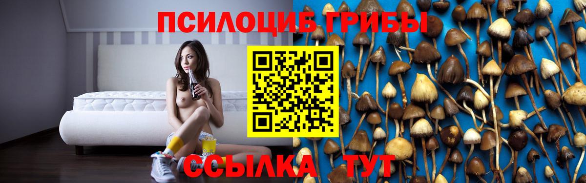 Кунгур  Вход с VPN  Cocaine  Канабис  Меф МЯУ МЯУ кристаллы  Гашиш  ГАШИШ 